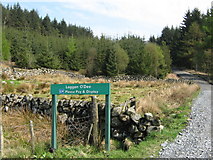 NX5774 : Pay and display point at Laggan O'Dee by Ann Cook