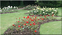 TQ2668 : The Rose Garden, Morden Hall Park by Peter Trimming