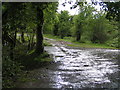 National Cycle Route 27 near Chub Tor, Yelverton