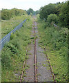 Truncated railway near Rugby cement works (1)