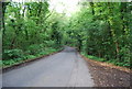 Riding Lane looking north