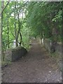 Footpath - Worth Way - Woodhouse Road