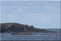 HU5795 : Un-named rocks south of Sound Gruney by Mike Pennington