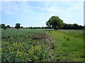 Footpath near Stanaway Farm