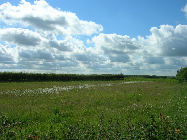 Farmland South of the A614