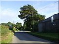 Road from Arlington to Caneheath, East Sussex