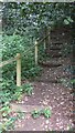 Steep steps off  bridleway near Tilford in Surrey