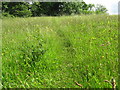 Small Clift Meadow at Willsbridge Mill