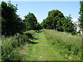 View along the Royal Military Canal Path