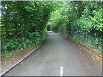 SU7585 : Lane to Henley by Shaun Ferguson