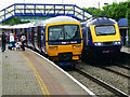 Trains at Hungerford Station