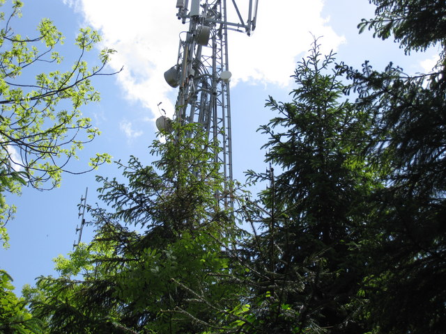 Aerial mast at Lincoln Hill