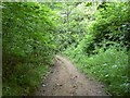 Disused railway line near Felkirk