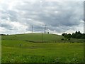 Pylons crossing Douglas Muir