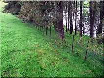 NT0029 : Fence and trees at Cowgill Lower Reservoir by Gordon Brown