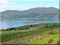 NG7713 : Moorland and trees above the Sound of Sleat by Dave Fergusson