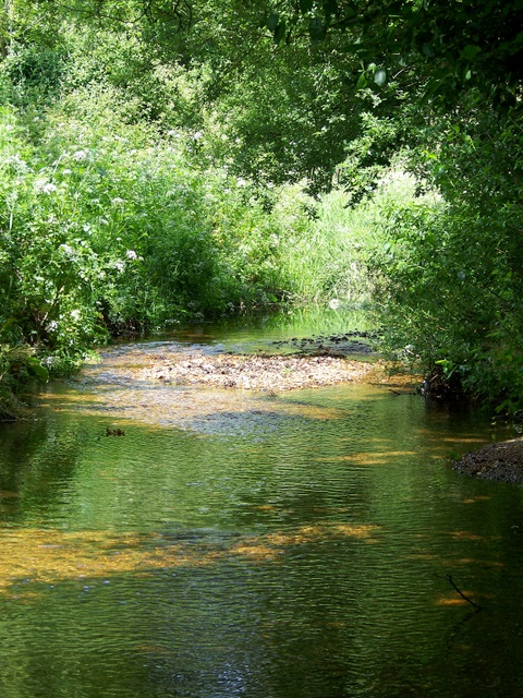 Stream near Sopley