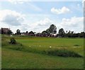 Dowson Primary School Playing Fields