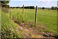 Field by Stonehill Farm