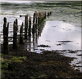SN0107 : Seaweed and low tide at Garron Pill by John Duckfield