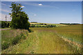 View towards Moulton