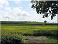 Fields Near Lower Egleton