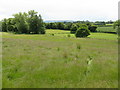 Footpath South From Much Cowarne Church