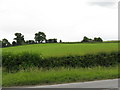 Fields South Of The A4103