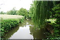 The Botany from Postern Bridge