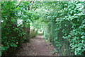 Footpath alongside Orchard Business Park