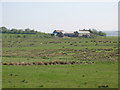 Pastures around High House Farm