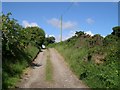 Track to Bryngwyn farm