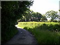 Country road near Bwlch-y-fadfa