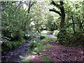 Afon Duad below Nantyfen