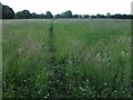 Footpath near Frogmill Farm