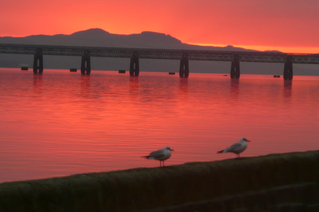 Seagulls and sunset over Tay Bridge