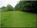 Ribble Way approaching Stackhouse