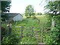 Bridleway, Rylstone