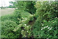 River Bourne, south of High House Lane