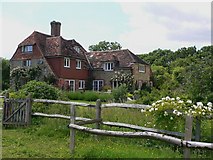 SU8426 : Cottage near Milland by Shazz