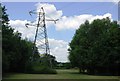 Pylon south of Hamptons Rd