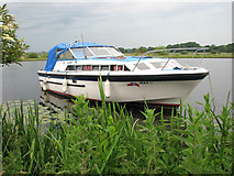 TG2906 : Moored on the River Yare by Evelyn Simak