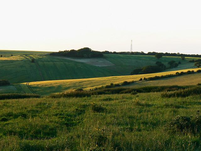 Undulating farmland near Woodsend