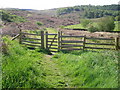 Gate marking the start of a walk