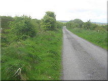 R2390 : Lane near Knockeighra by David Medcalf