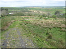 R2091 : Farm track at Ballynacarnagh by David Medcalf