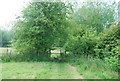 Stile on the Greensand Way near Sticklands Wood