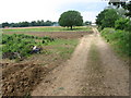 Footpath near Shirrell Heath