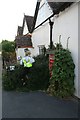 Hiding in the hedge