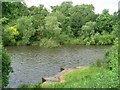 River Clyde from Clyde Walkway